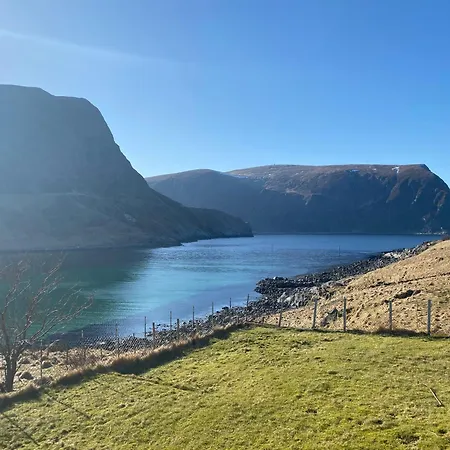 Honey Bay Проживание в семье *