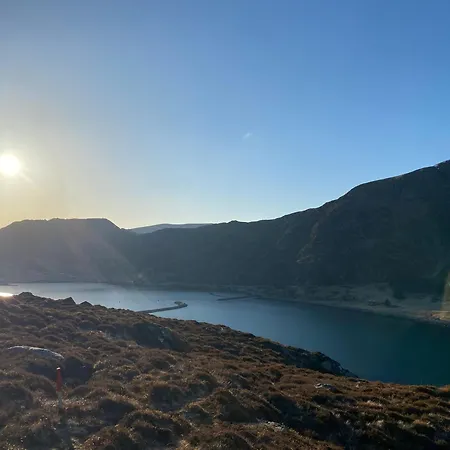 Проживание в семье Honey Bay *