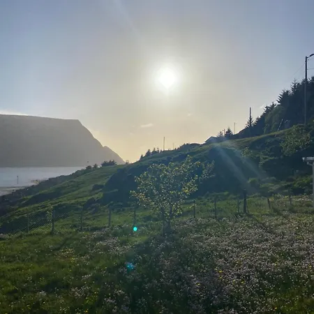 Honey Bay Проживание в семье