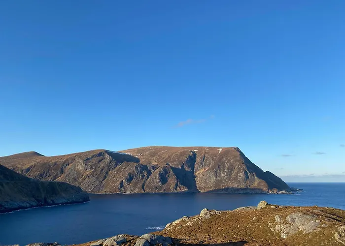 Honey Bay