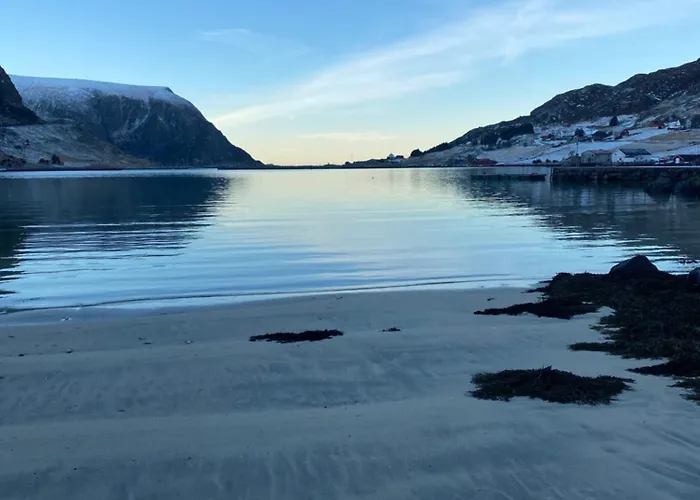 Honey Bay