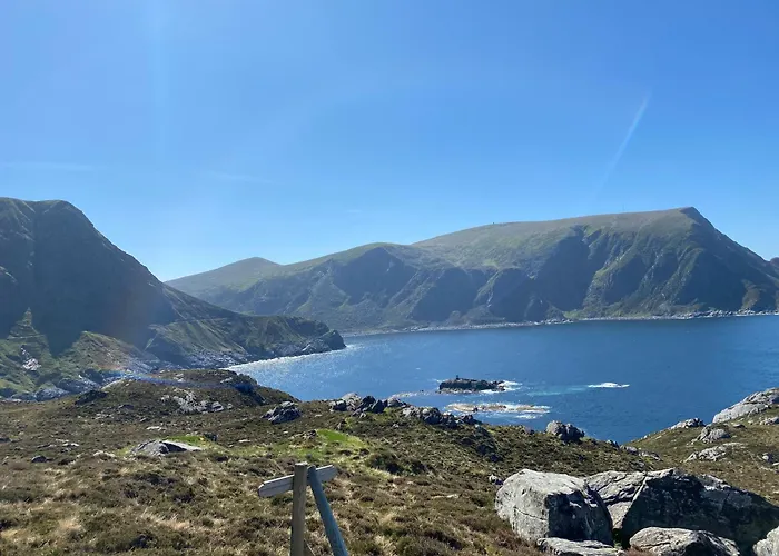 Honey Bay
