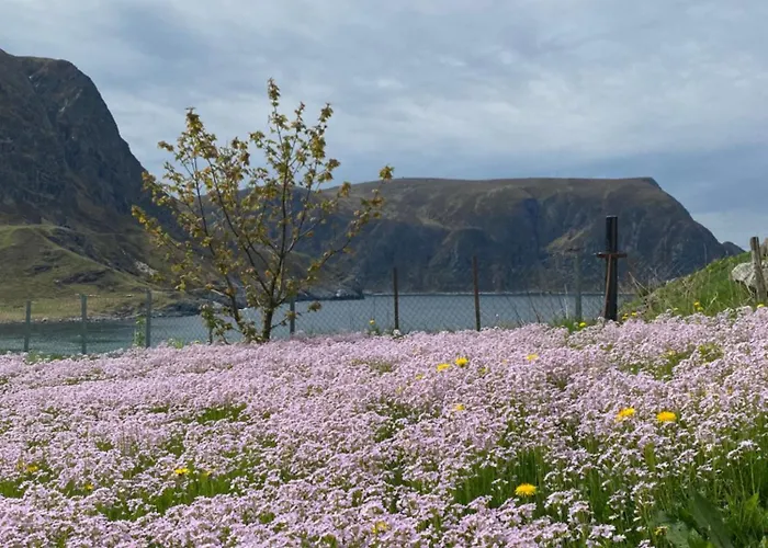 Privatunterkunft Honey Bay Stadlandet
