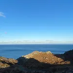 Honey Bay *