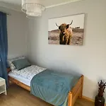 Honey Bay 홈스테이 *