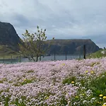 홈스테이 Honey Bay Stadlandet