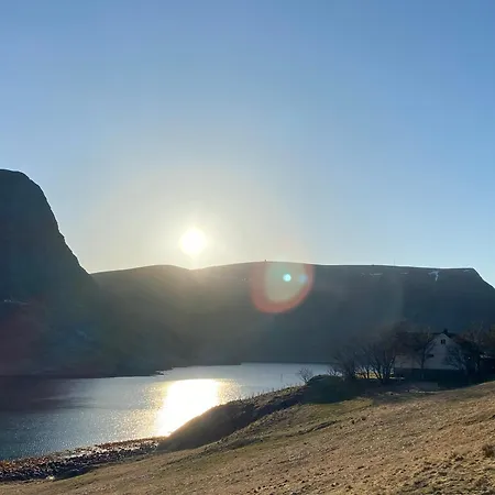 Honey Bay