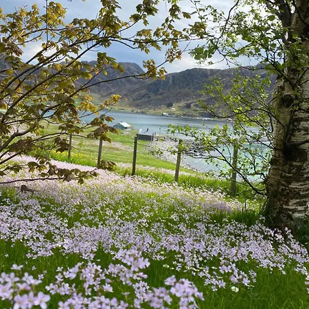 Honey Bay Kwatera prywatna *