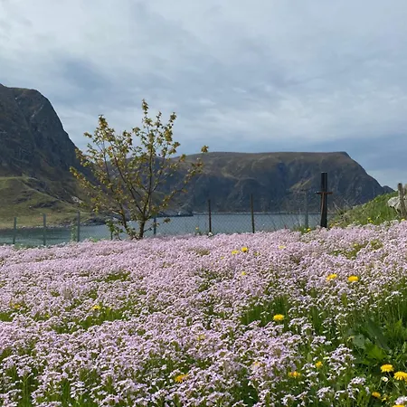 Kwatera prywatna Honey Bay Stadlandet